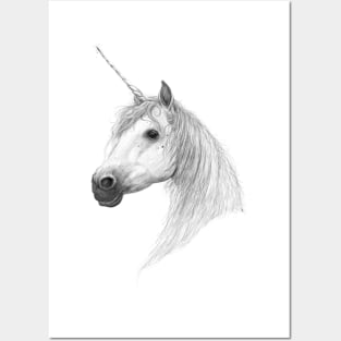 Real unicorn Posters and Art